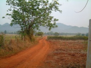 CAMINO CAMPO